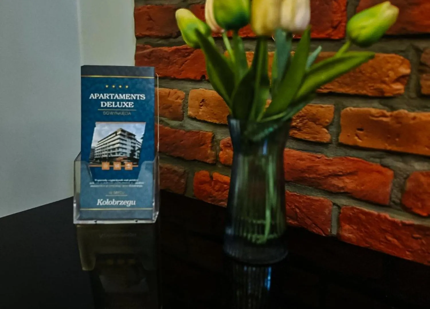 Apartament Lux Gdansk Nowa Motlawa Apartment
